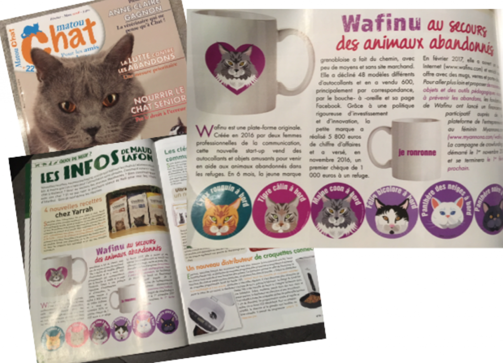 matou chat