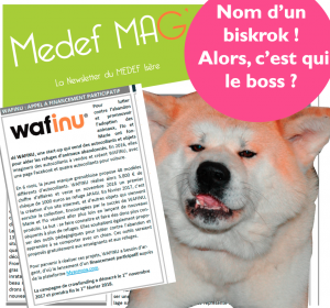 medef mag